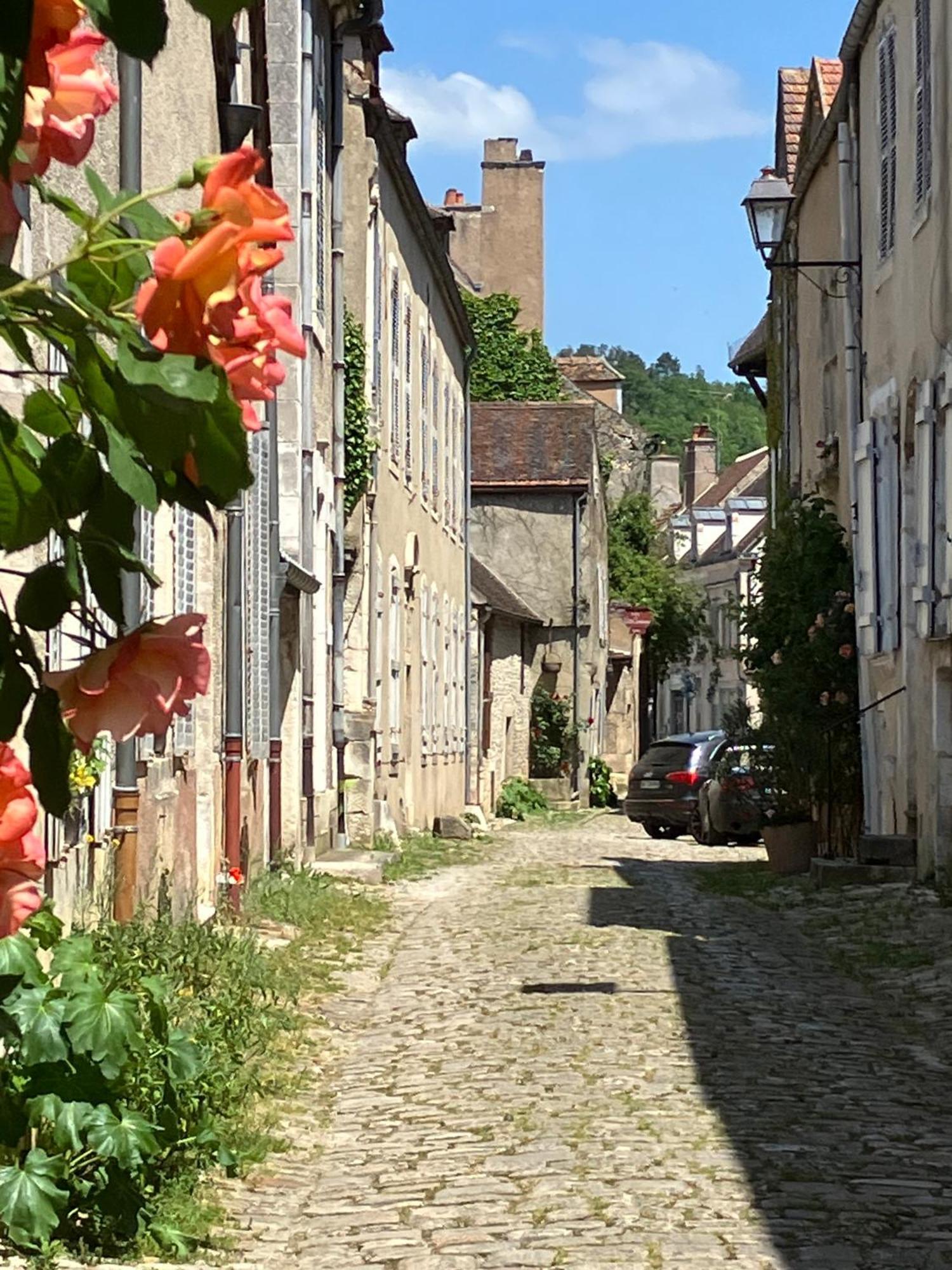 Zotheca Hotel Noyers-sur-Serein Eksteriør billede