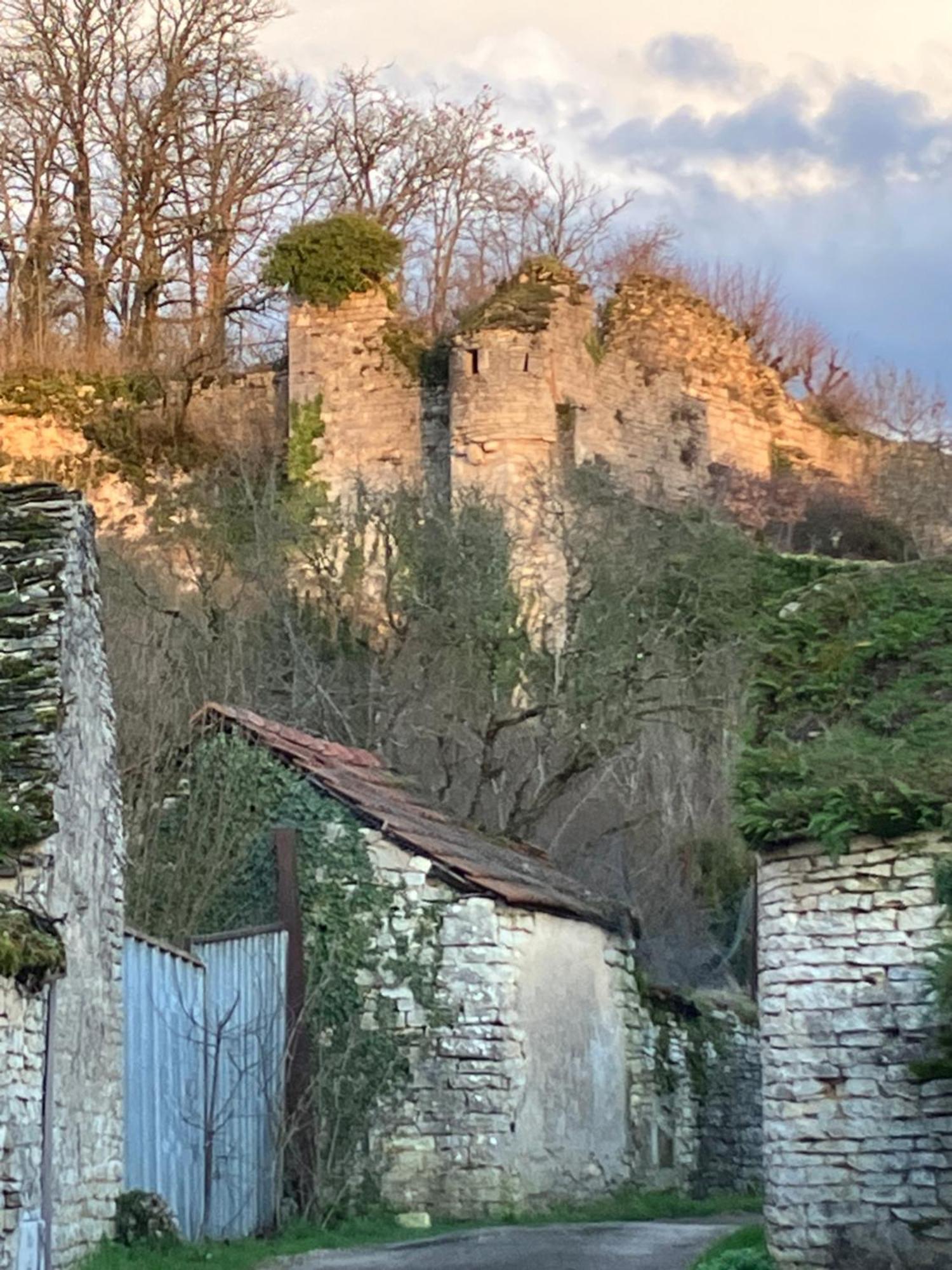 Zotheca Hotel Noyers-sur-Serein Eksteriør billede